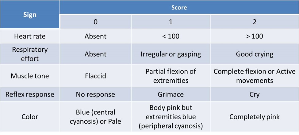 Apgar Score Chart