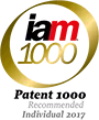 IAM Patent 1000