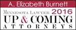 MN-Laywer-Elizabeth-Burnett-2016
